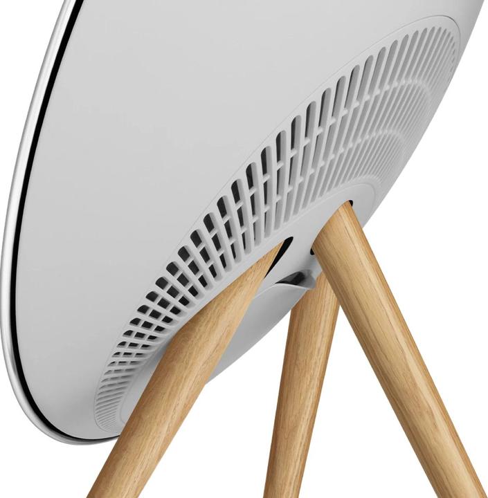 Actual product image B&O Beosound A9 5.G Natural Aluminium WK7 (Electrical connection)