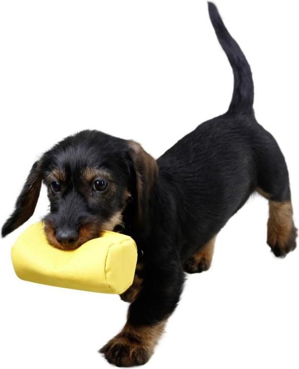 Produktbild Kerbl Snack-Dummy (Snackbeutel Hund)