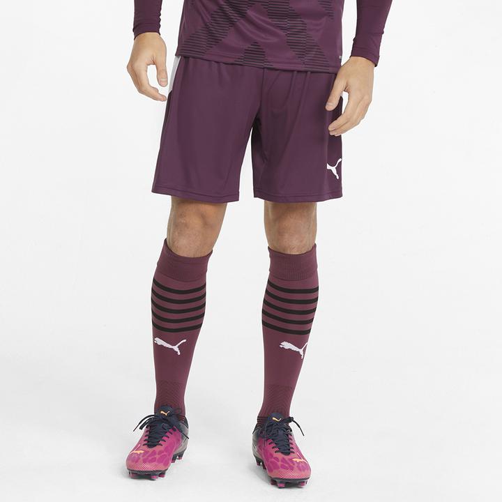 Produktbild Puma teamLIGA Shorts (L)