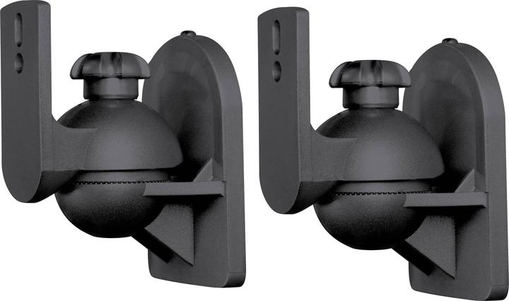 Actual product image SpeaKa Professional SP-5369944 (1 pair, Wall installation, Pivoting)