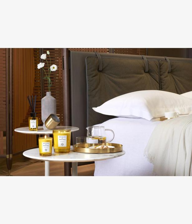 Immagine prodotto Acqua Di Parma Buongiorno R Diffusore (re) (180 ml)
