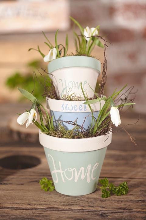 Immagine prodotto VBS Muschio per piastre, 50 g