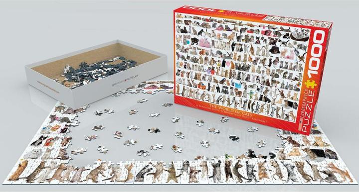 Actual product image Eurographics Cat world (1000 pieces)
