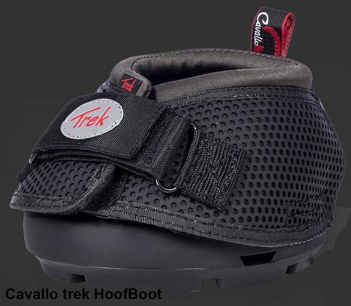 Actual product image Cavallo Hoof shoes Trek Slim (pair)