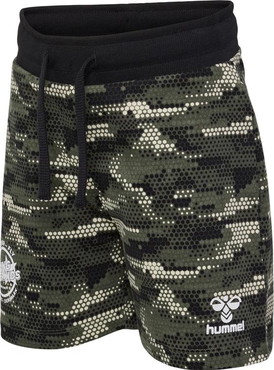 Actual product image hummel Hmlfsk Go Shorts (110)