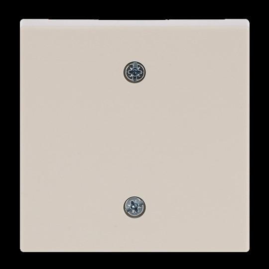 Produktbild Busch-Jaeger Zentralscheibe