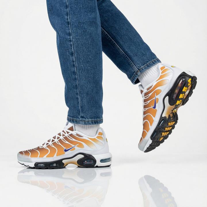 Image du produit Nike Air Max Plus One Block Down (43)