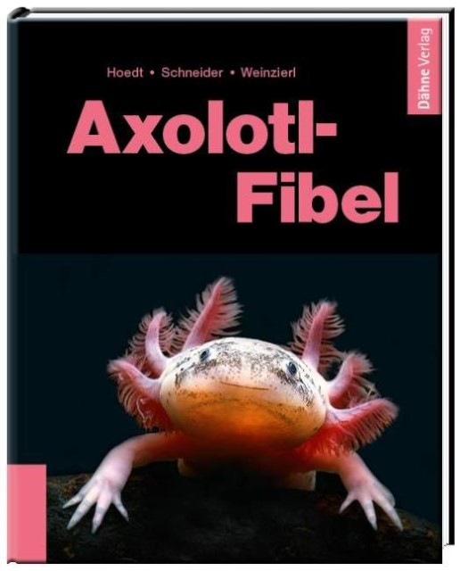 Image du produit Axolotl-Fibel (Allemand, Friederike Weinzierl, Werner Hoedt, Maite Schneider, 2022)