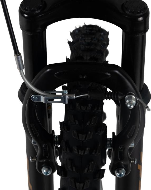 Produktbild Wyld Kinder-Mountainbike Fully 24" Zodiac 18 Gänge RH 38 cm (24")