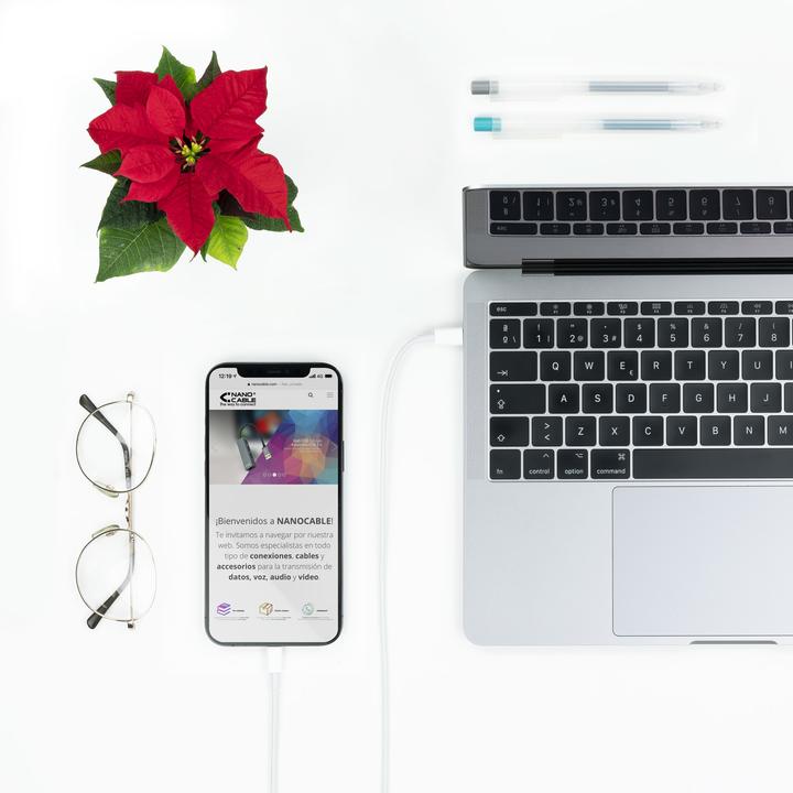 Image du produit Nanocable Câble Lightning Vers USB (C) 50cm (0.50 m, 50 W)