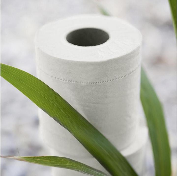 Produktbild Pandoo Toilettenpapier 3-lagig 8 Rollen (8 x)