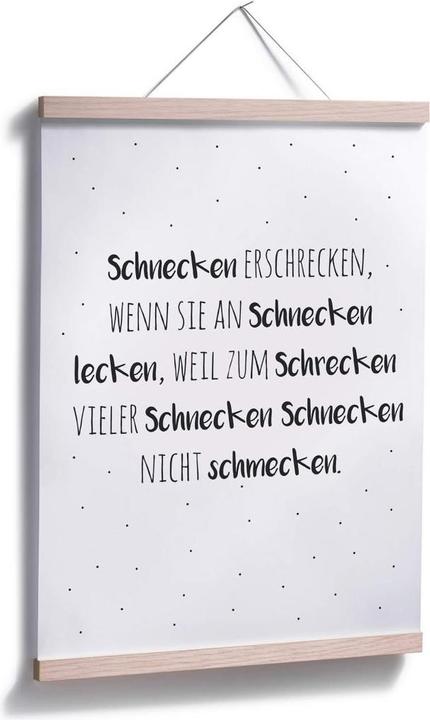 Produktbild Trenddeko Zungenbrecher - Schnecken erschrecken (50 x 60 cm)