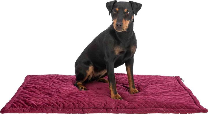 Image du produit Trixie Natalya lying mat, square, 90 × 60 cm, bordeaux (Chien)