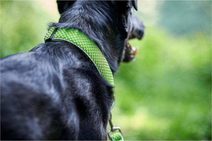 Immagine prodotto Hunter Collare per cani Hilo Vario Plus (XL, Cane, Sport cane)