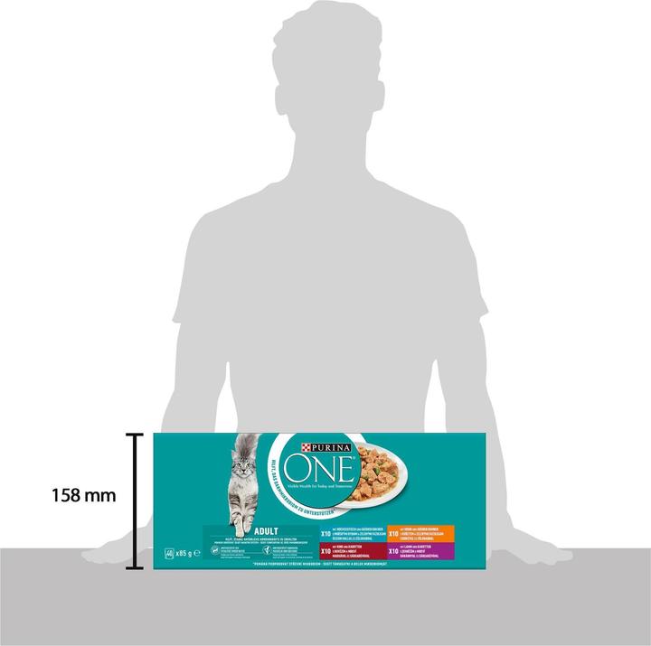 Image du produit Purina ONE Adulte (Adulte, 40 pcs, 3400 g)