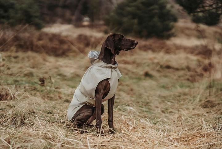 Immagine prodotto Hunter Milford (45, Cappotto impermeabile per cani)