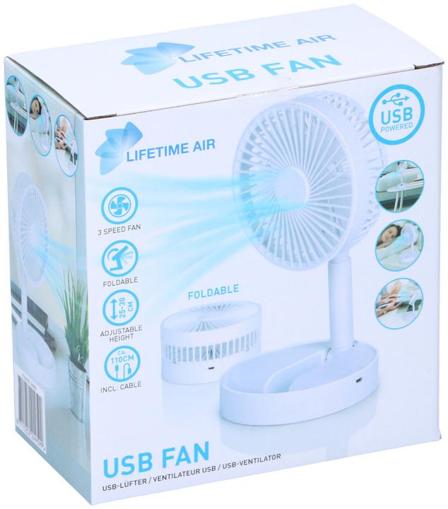 Actual product image Lifetime Mini Fan