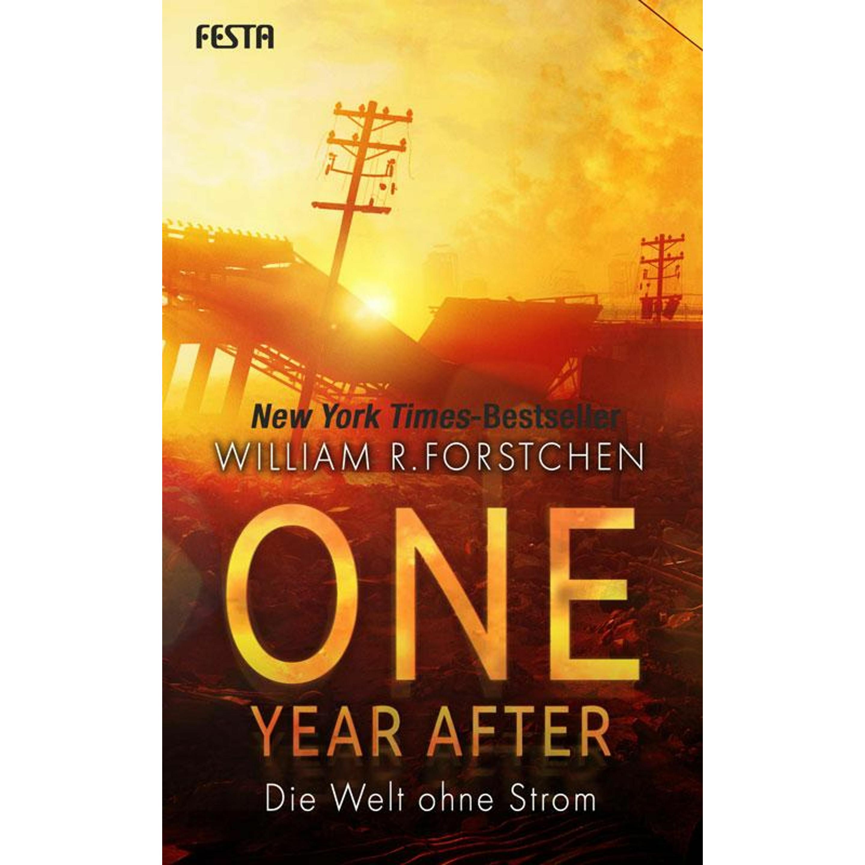 One Year After - Die Welt ohne Strom, Belletristik von William R. Forstchen, Alexander Amberg
