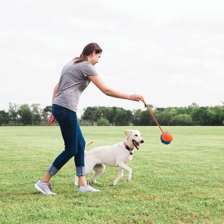 Immagine prodotto Chuckit! Giocattoli per cani (Palla giocattolo per cani)