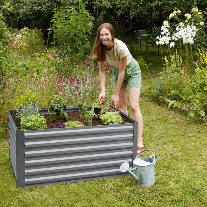 Produktbild tectake Salvia