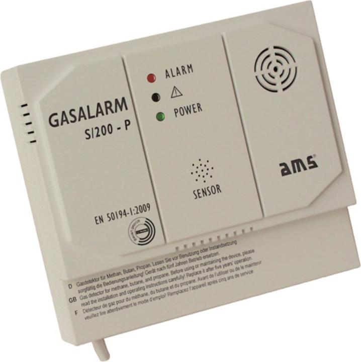 Actual product image S/200-P-12 V Gas detector