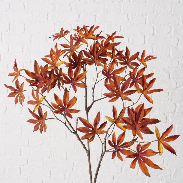 Actual product image Boltze Home Ahorn (4 cm)