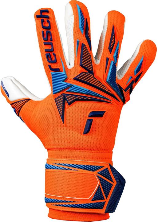 Produktbild Reusch Attrakt Freegel Advance Junior (4)