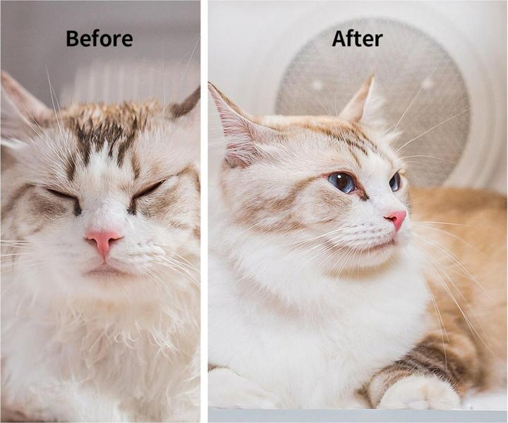Productafbeelding Petkit Slimme huisdierendroger AIRSALON MAX (Kat, Hond, 60000 ml)