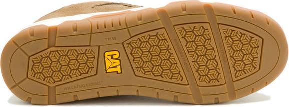 Produktbild Cat Theorem (41)