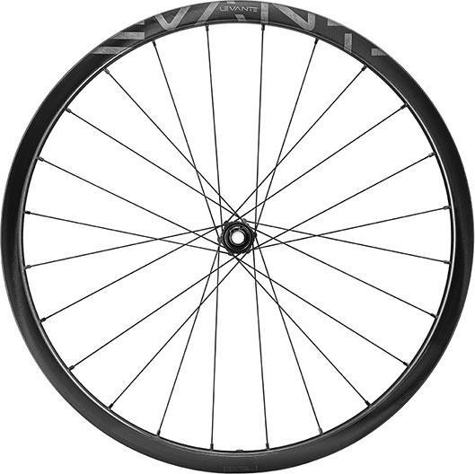Produktbild Campagnolo Levante 2-WayFit DB (Hinterrad)