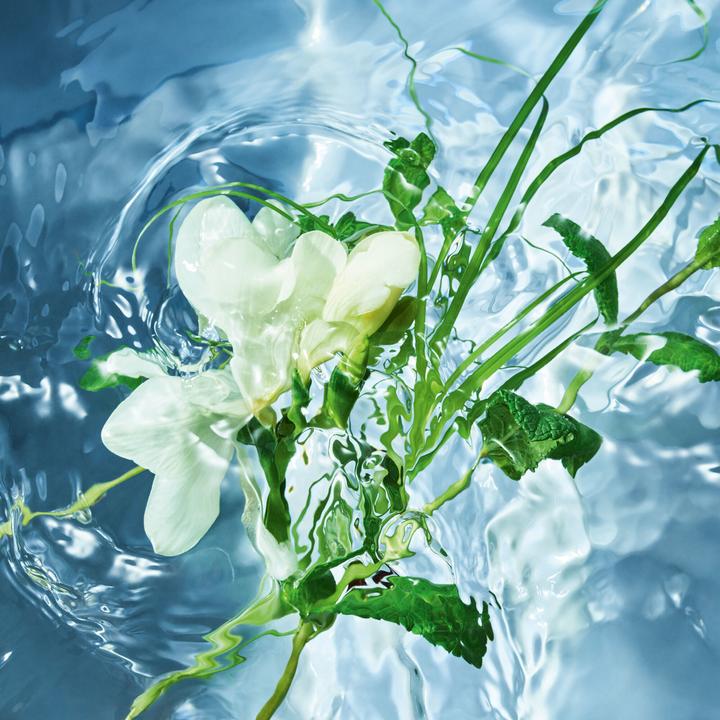 Produktbild Guerlain Aqua Allegoria Herba Fresca (Eau de Toilette, 125 ml)