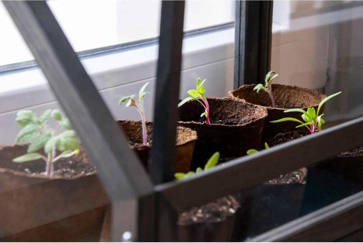 Produktbild Dobar Mini-Gewächshaus mit Töpfen