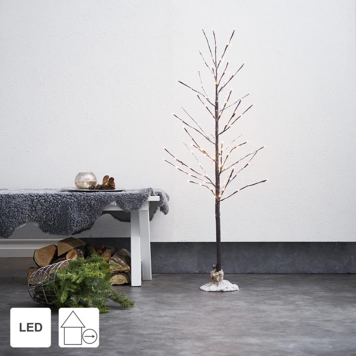 Image du produit Star Trading Tobby