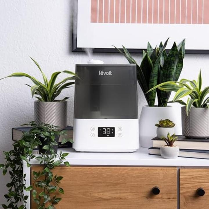 Image du produit Levoit Raumbefeuchter (47 m²)