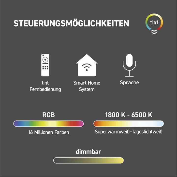 Productafbeelding Müller Licht Müller-Licht tint LED-buitenschijnwerper Flores XL, wit+kleur 8,1W RGBW (1000 lm, IP44)