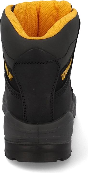 Actual product image Cat Striver (S3, 41)