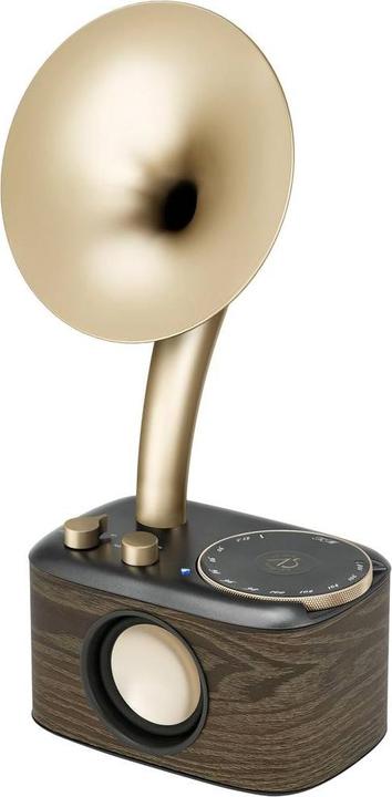 Image du produit Sangean WR-45X Gold Radio VHF (FM) AUX, Bluetooth Oplaadbaar Zwart, Goud (FM, VHF, Bluetooth)