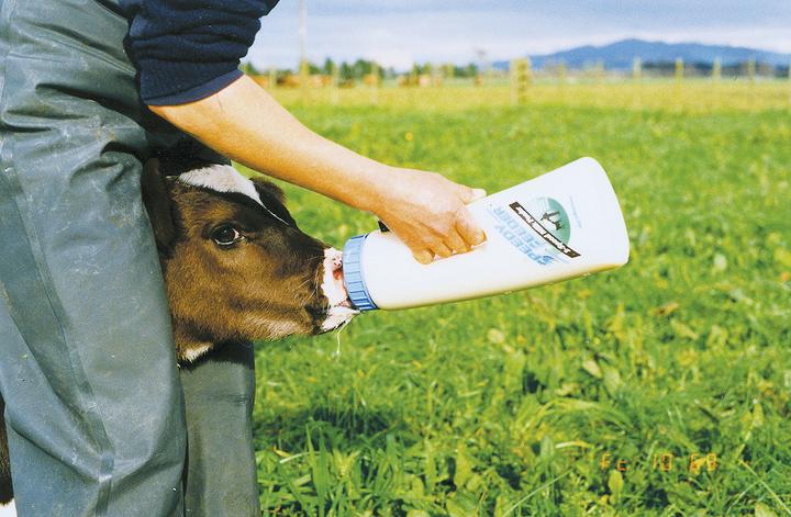 Produktbild Shoof Kälberflasche Speedy Feeder, 2,5 l