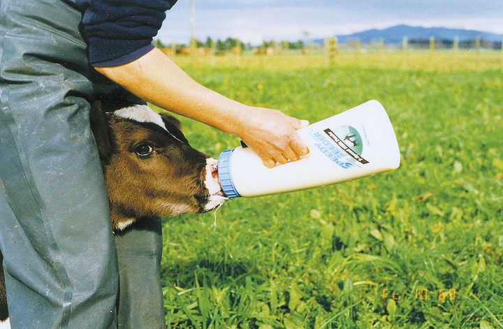 Produktbild Shoof Kälberflasche Speedy Feeder, 2,5 l (Hund, 2500 ml)