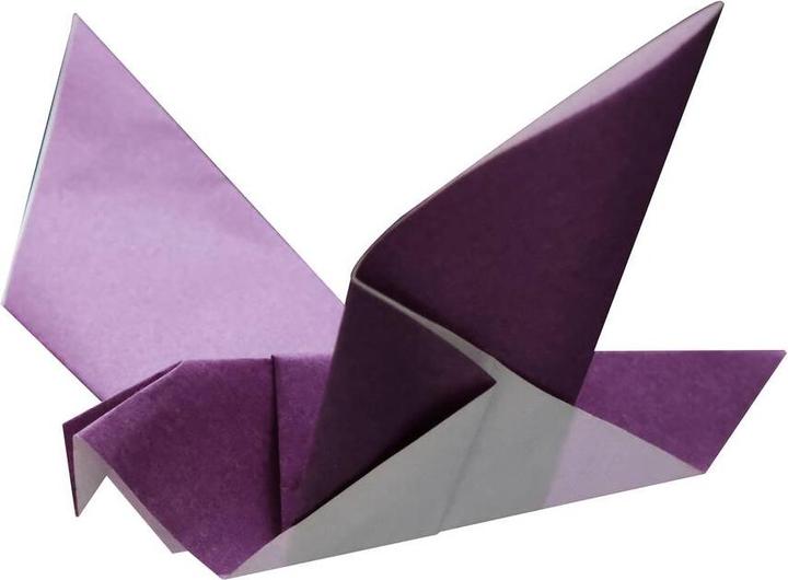Actual product image Winkee Origami Set - 5 Minutes (16487)