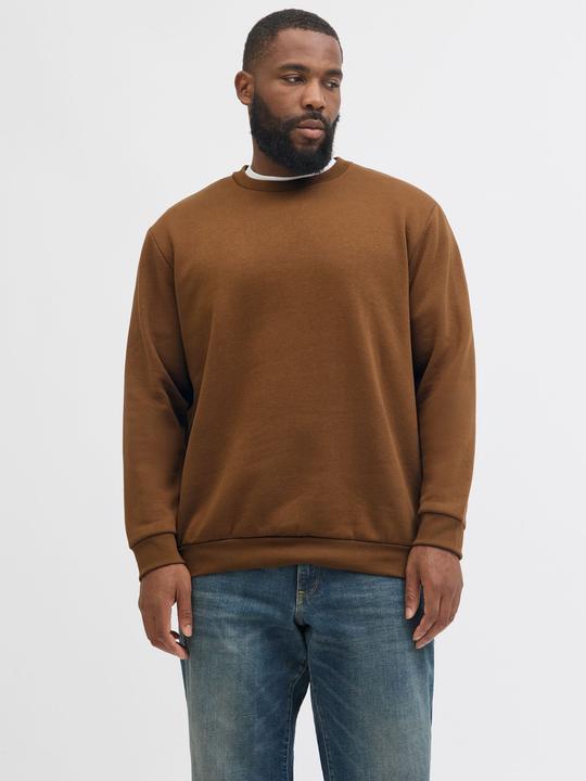 Actual product image Jack & Jones Jjebradley Sweat Crew Noos Pls (4XL)