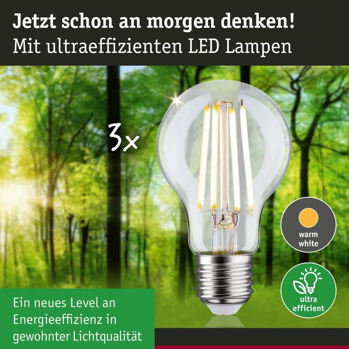 Produktbild Paulmann AGL Eco-Line Filament (E27, 4 W, 840 lm, 1 x, A)