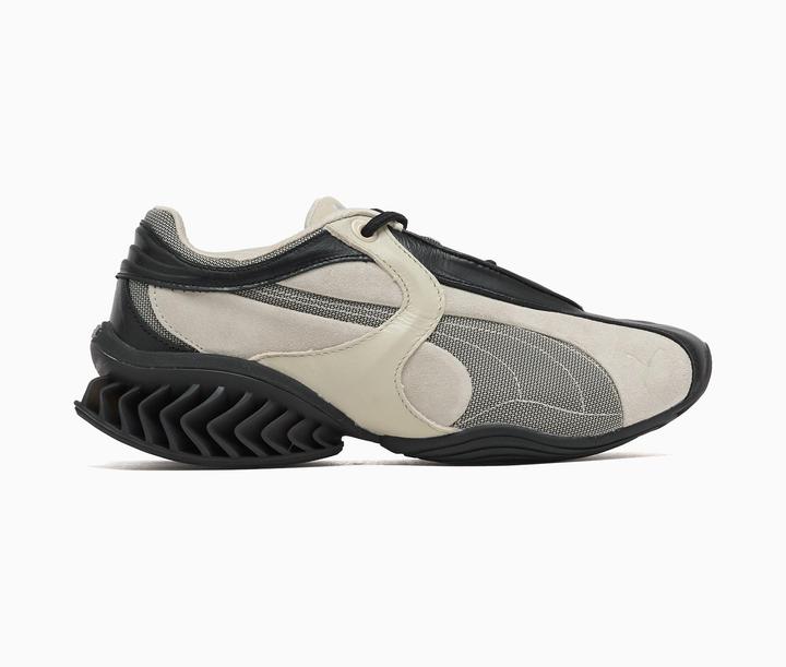 PUMA Black-Birch Tree