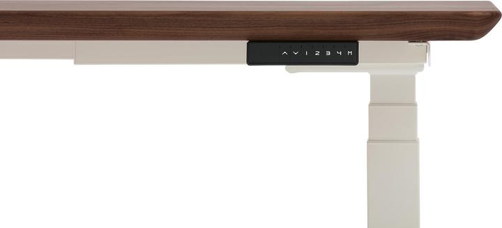 Image du produit Oakywood Bureau debout table en bois réglable en hauteur - bois massif - Noyer / 160x80 / Blanc - (160 x 80 cm)