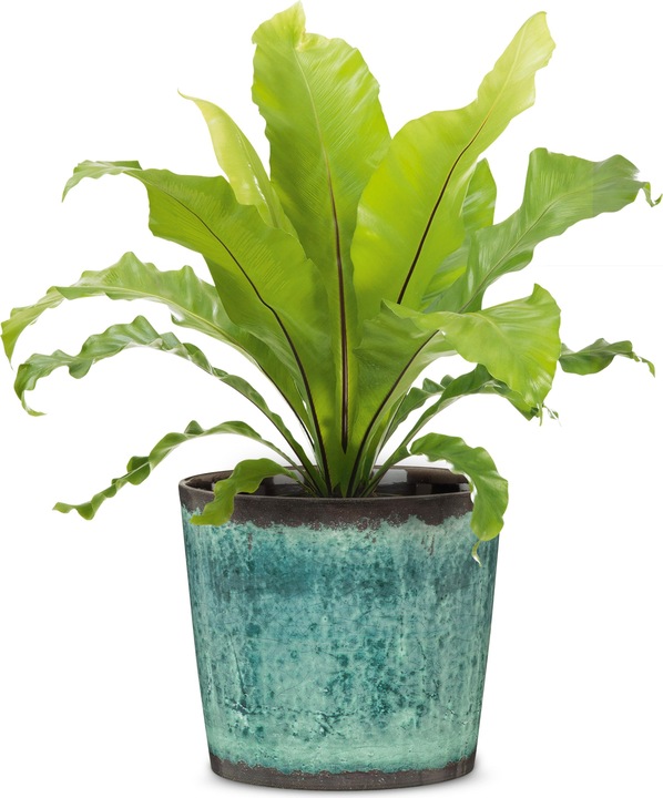 Image du produit Scheurich Pot de fleurs Ocean Glaze Ø 15.1 cm (15.10 cm)