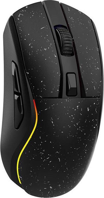 Actual product image Dareu Wireless gaming mouse + charging dock A950 RGB 400-12000 DPI (black) (Wireless)