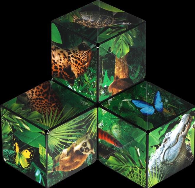 Produktbild Shashibo Cube Jungle