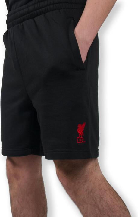 Produktbild Score Draw Shorts (L)