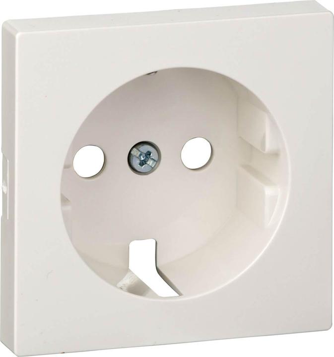 Actual product image Merten Central plate