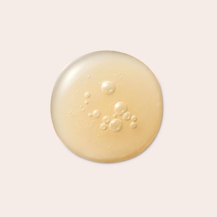 Actual product image Kaine Kombu Barrier Moisturizing Serum with Fermented Kombucha